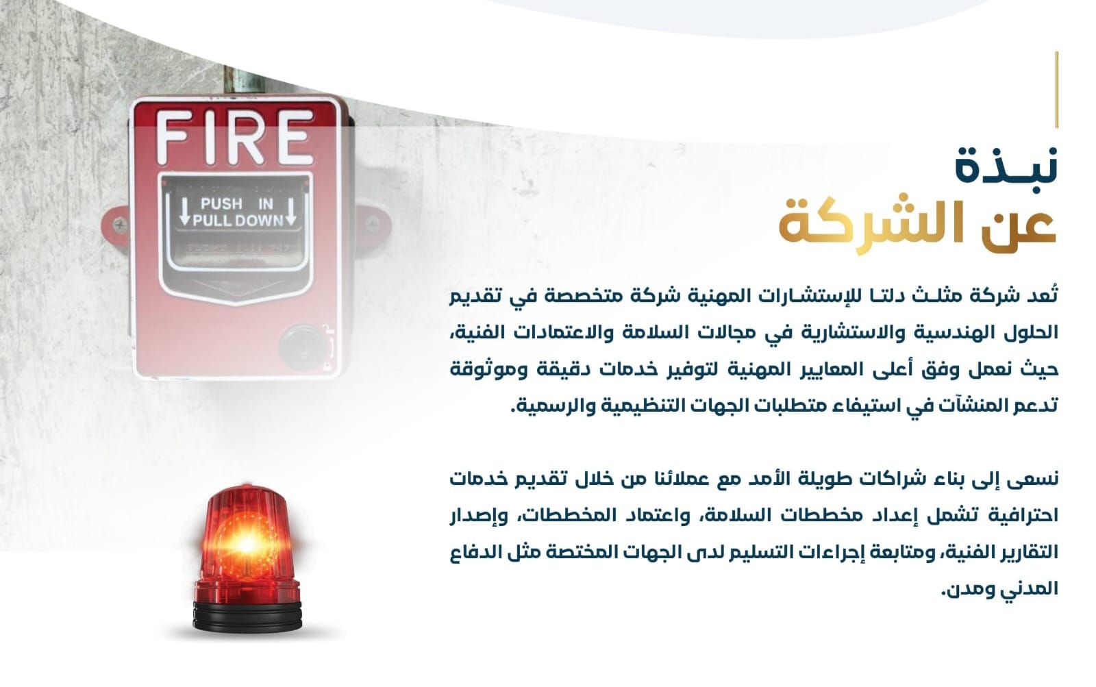 نبذة عن الشركة